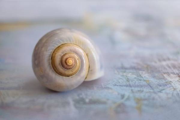 Quelle: KAVOWO/Pixabay